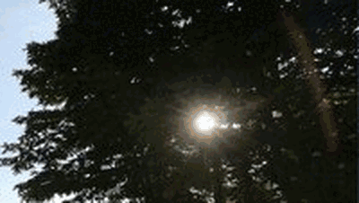 Flicker artifact changing in intensity across four frames